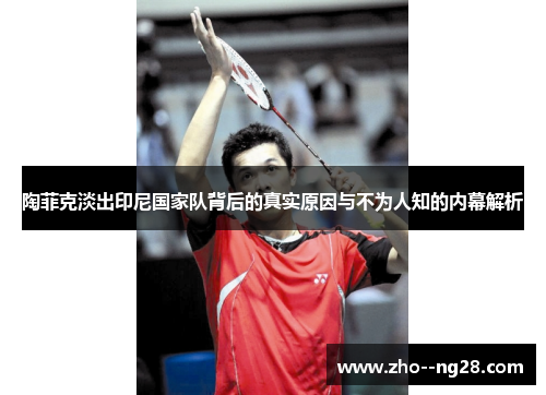 陶菲克淡出印尼国家队背后的真实原因与不为人知的内幕解析