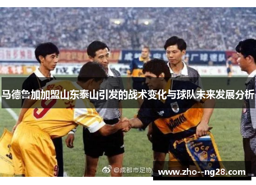 马德鲁加加盟山东泰山引发的战术变化与球队未来发展分析 马德鲁加加盟山东泰山引发的战术变化与球队未来发展分析