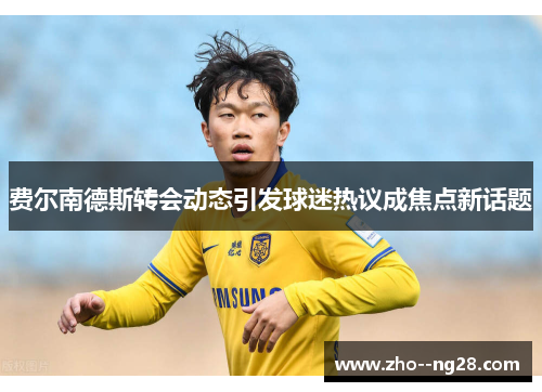 费尔南德斯转会动态引发球迷热议成焦点新话题