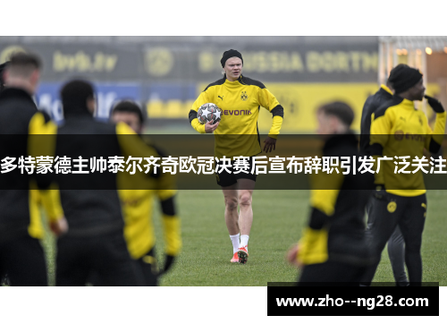 多特蒙德主帅泰尔齐奇欧冠决赛后宣布辞职引发广泛关注