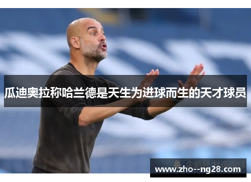 瓜迪奥拉称哈兰德是天生为进球而生的天才球员 瓜迪奥拉称哈兰德是天生为进球而生的天才球员